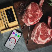 Meater Block Wireless Smart Thermometer RT3-MT-MB01 | In Use with Mobile App